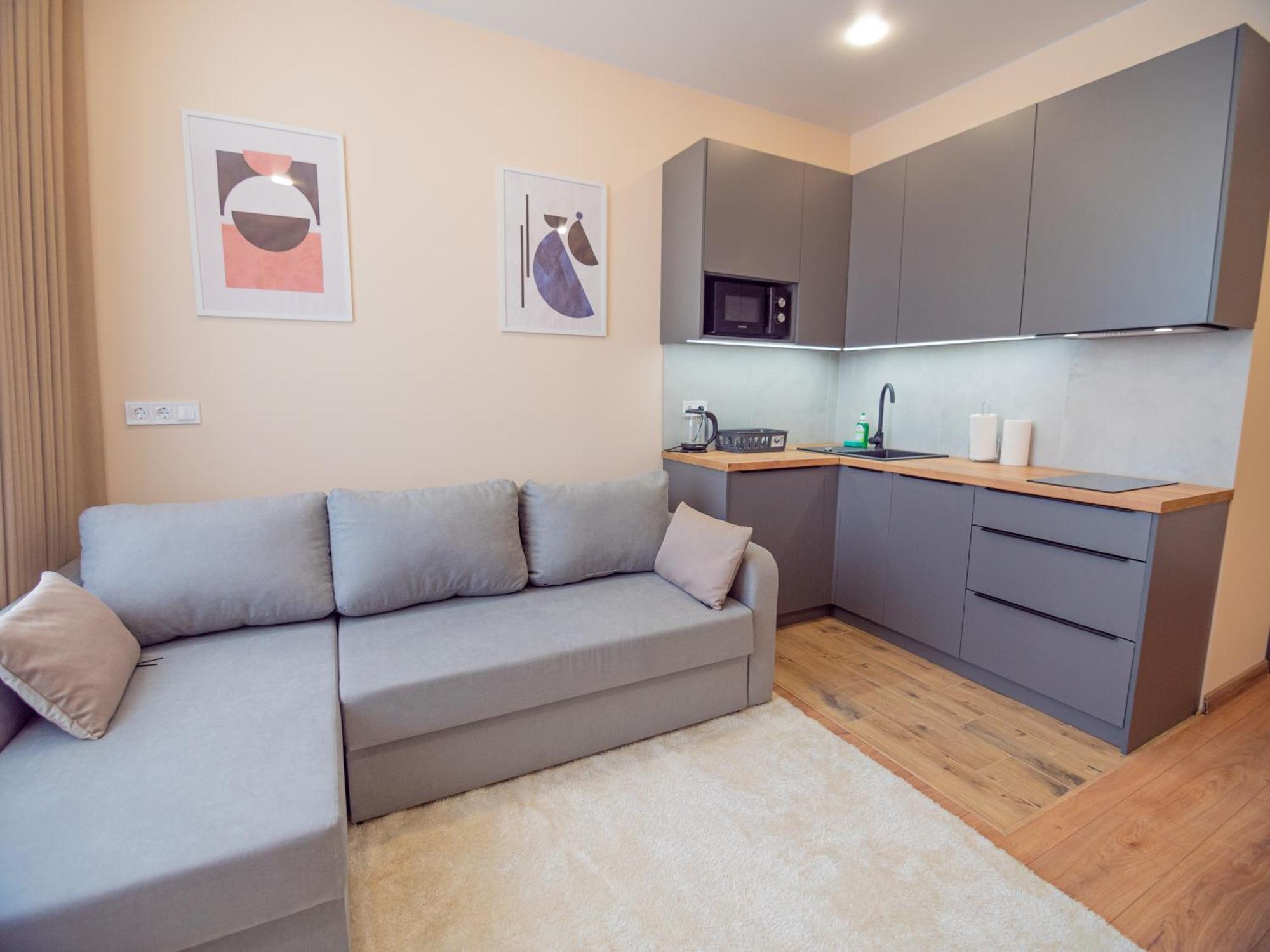 Apartment Smart House Lviv